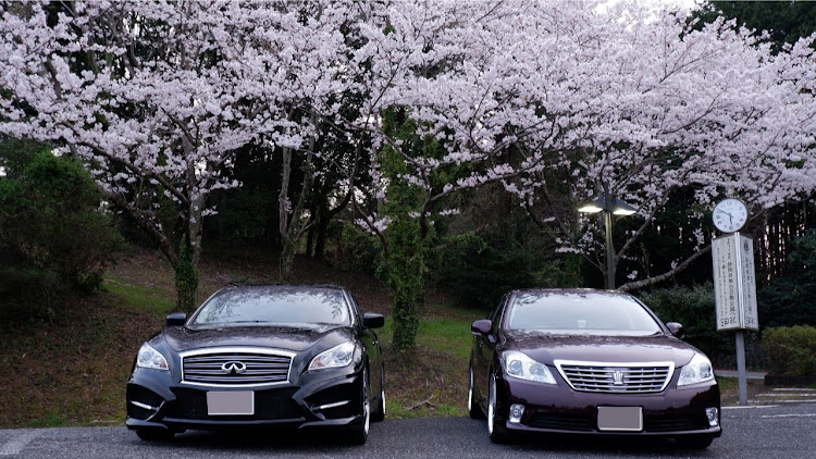 クラウンロイヤルの#桜と愛車・#夜桜・#昭和の會・#楽しい仲間に関するカスタム事例の投稿画像4枚目