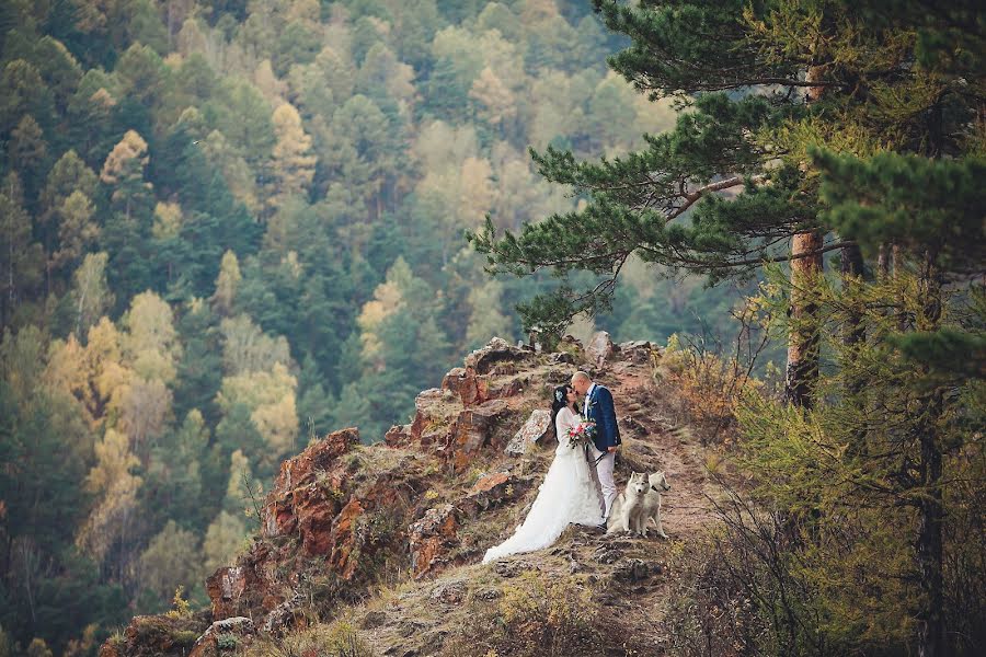 Hochzeitsfotograf Dmitriy Rey (dmitriyray). Foto vom 27. Juni 2017