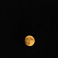Luna gialla di Sofy01