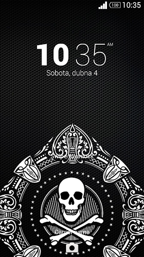 Skull Bones Theme Experian