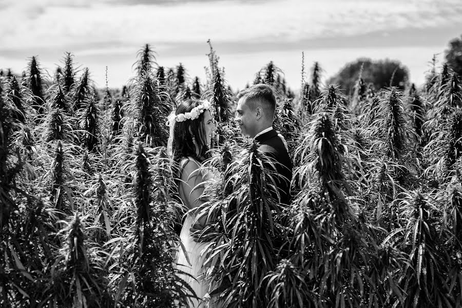 Fotógrafo de casamento Adrian Siwulec (siwulec). Foto de 18 de setembro 2018