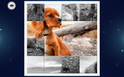 IMAGEine Premium screenshots 12