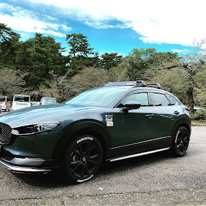 CX-30 DM8P