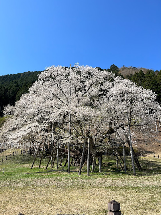 の投稿画像2枚目