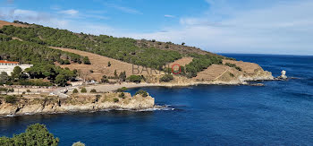 appartement à Banyuls-sur-Mer (66)