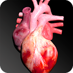 Cover Image of Tải xuống Circulatory System in 3D (Anatomy) 1.1 APK