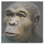 Evolution Apk