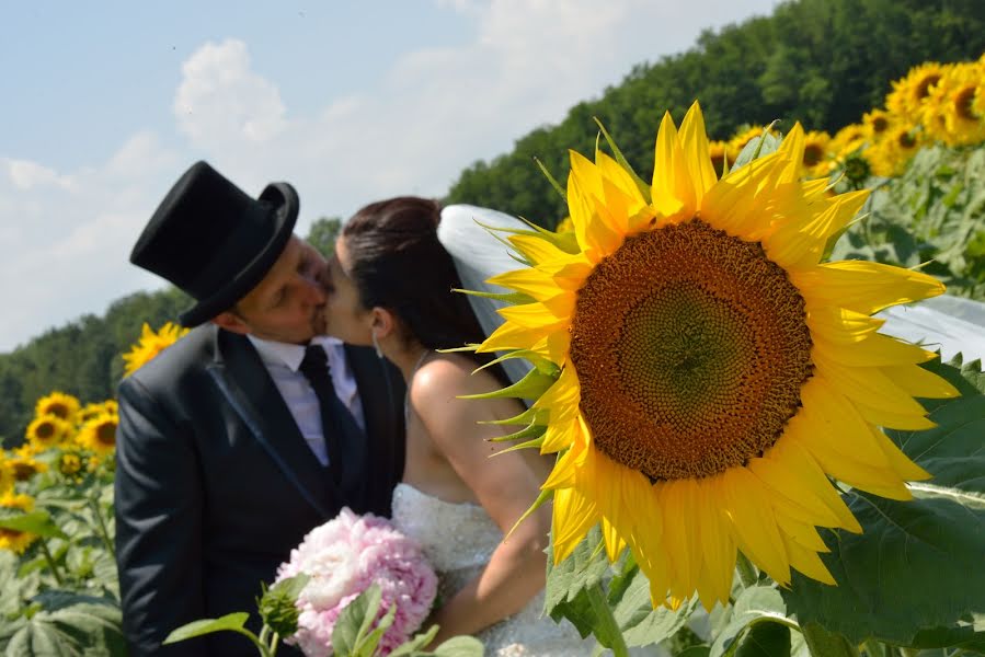 Fotografo di matrimoni Fabiola Fiori (fabiolafiori). Foto del 27 luglio 2016