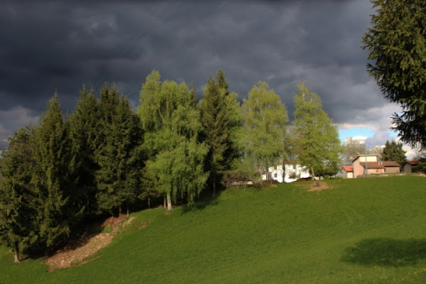 Verde prima del temporale di paolomax