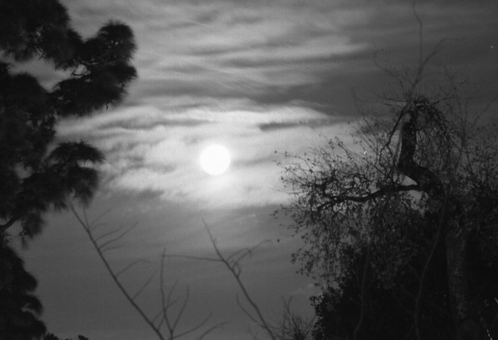 luna piena nella notte fonda di perniko