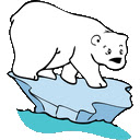 Polar Bear Wallpapers HD Custom Bears New Tab