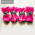 Rose Red Shoes
