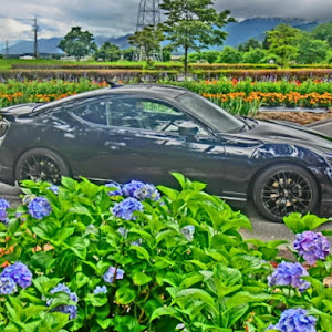 86 ZN6