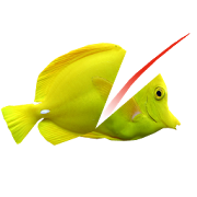 Swipe To Cut Swimming Fish 1.0 Icon