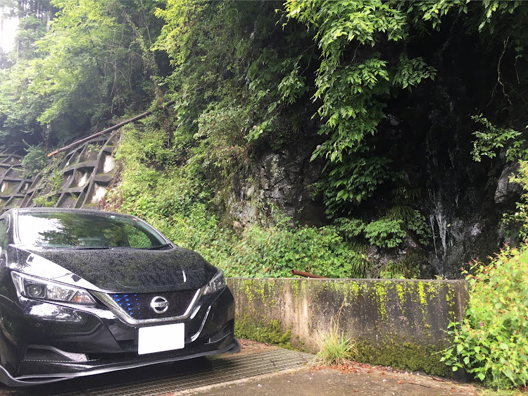 リーフの険道巡礼・ドライブ・入間白岩線・林道・林道仙人に関するカスタム事例の投稿画像6枚目