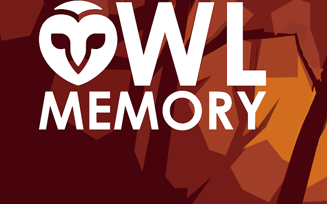 OwlMemory