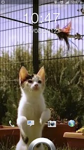 Super Cute Jumping Cat LWP screenshot 3