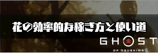 ゴーストオブツシマ_花の効率的な稼ぎ方と使い道
