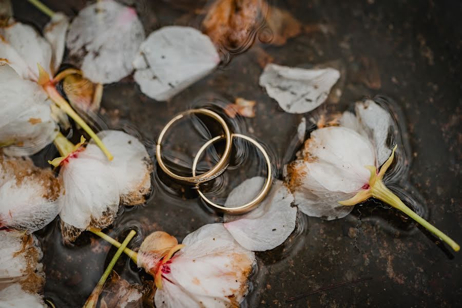 Photographe de mariage Nadine Lotze (lumoid). Photo du 11 avril