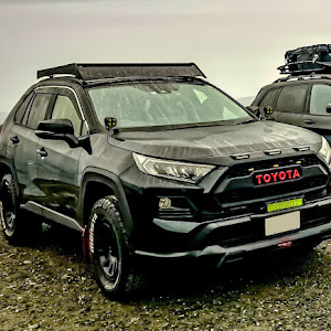 RAV4 MXAA54