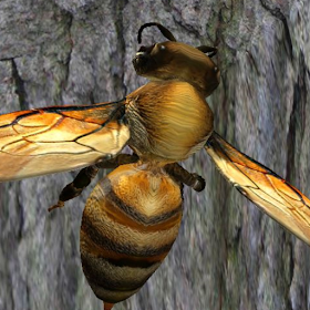 Bee Nest Simulator 3D - Insect and 3d animal game