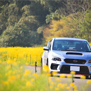 WRX STI VAB