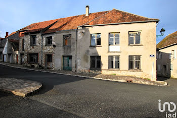 locaux professionnels à Ouzouer-sur-Trézée (45)