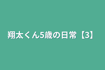 翔太くん5歳の日常【3】