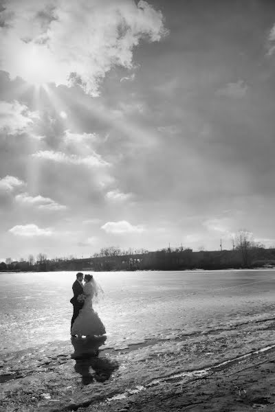 Photographe de mariage Alena Levay (0507). Photo du 23 juin 2014