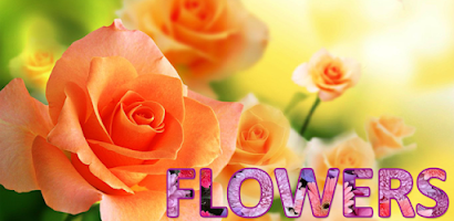 Flowers Wallpapers HD Screenshot