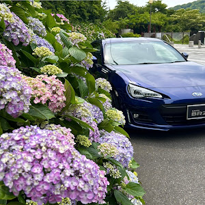 BRZ ZC6