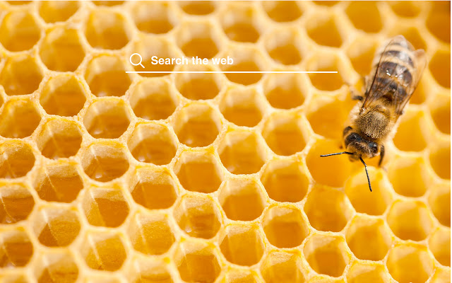 Bees HD Wallpapers Background Theme