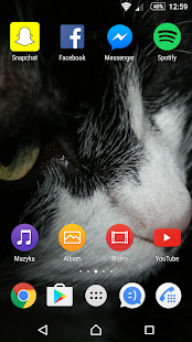 How to get Black&White Cat XpTheme 0.9.0 apk for bluestacks