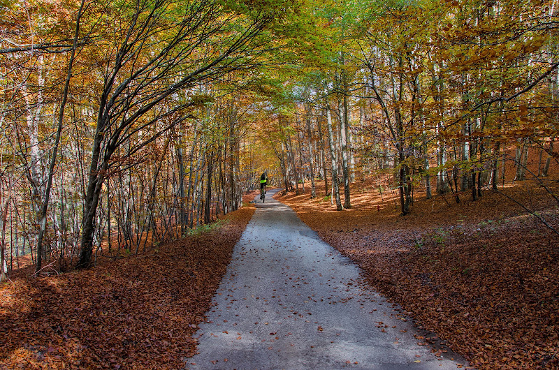 Nel mezzo dell'autunno di Moreno re