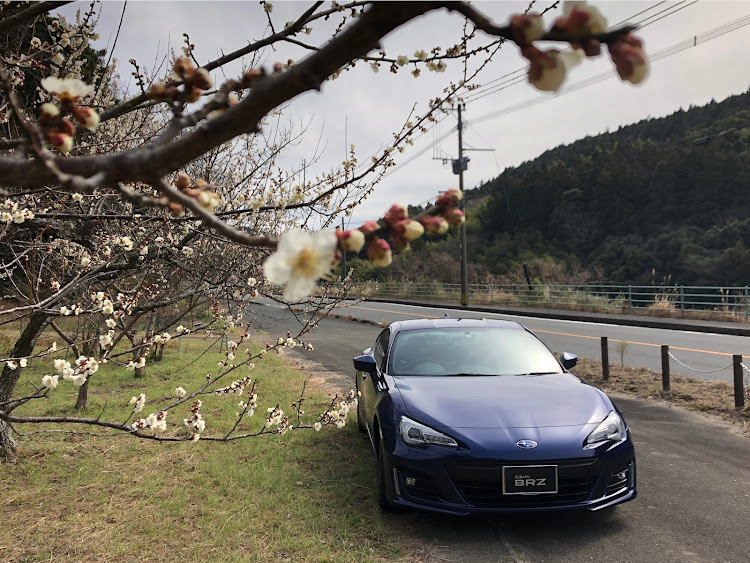 BRZのあけましておめでとうございます・今年もよろしくお願いしますに関するカスタム事例の投稿画像8枚目