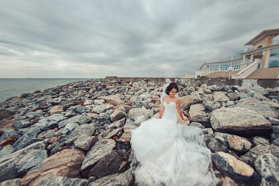 Photographe de mariage Dmitriy Vasilenko (dmvasilenko). Photo du 29 novembre 2014