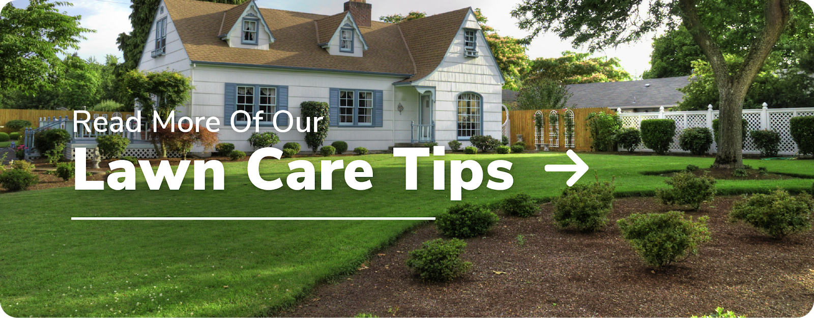 read more lawn care tips