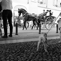 acCANIti SPETTATORI di 