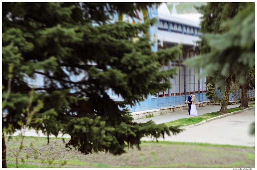 Fotografo di matrimoni Olga Dzyuba (olgadzyuba2409). Foto del 27 aprile 2018