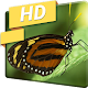 Download Macro Butterfly Nature 4K LWP For PC Windows and Mac 1.0