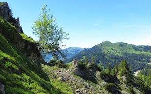  Blick Riedberger Horn, Besler Obermaiselstein Allgäu