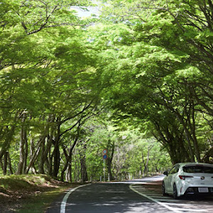 カローラスポーツ NRE210H