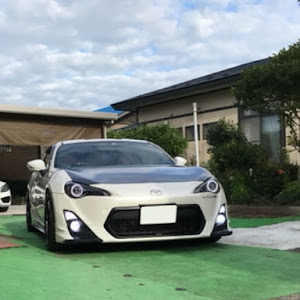 86 ZN6