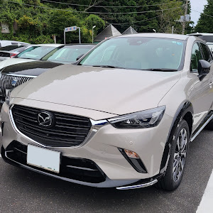 CX-3 DKLFW