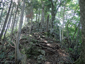 ここを登る