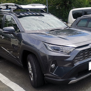 RAV4 AXAH54