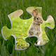 Download Rabbit Jigsaw Puzzles Free For PC Windows and Mac