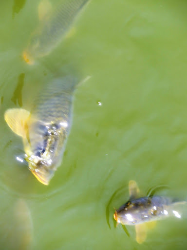 Chinese Culture Park Beijing China 2016