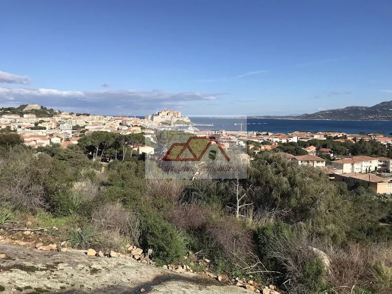 Vente terrain à batir  3900 m² à Calvi (20260), NaN €