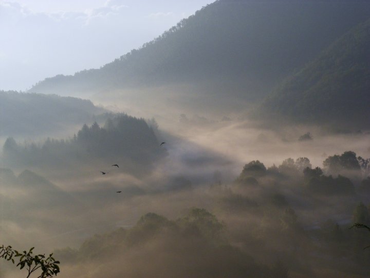 VALLE NEBBIOSA di squini